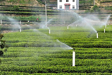 安康 茶園智能噴灌項(xiàng)目